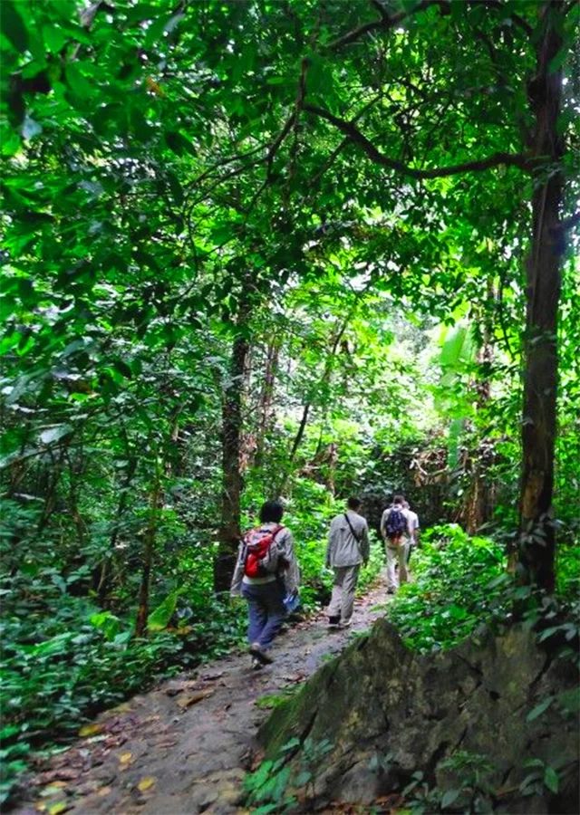 Hiking Near Hanoi Cuc Phuong National Park